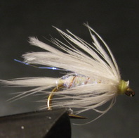 ���� ������ Wet fly 